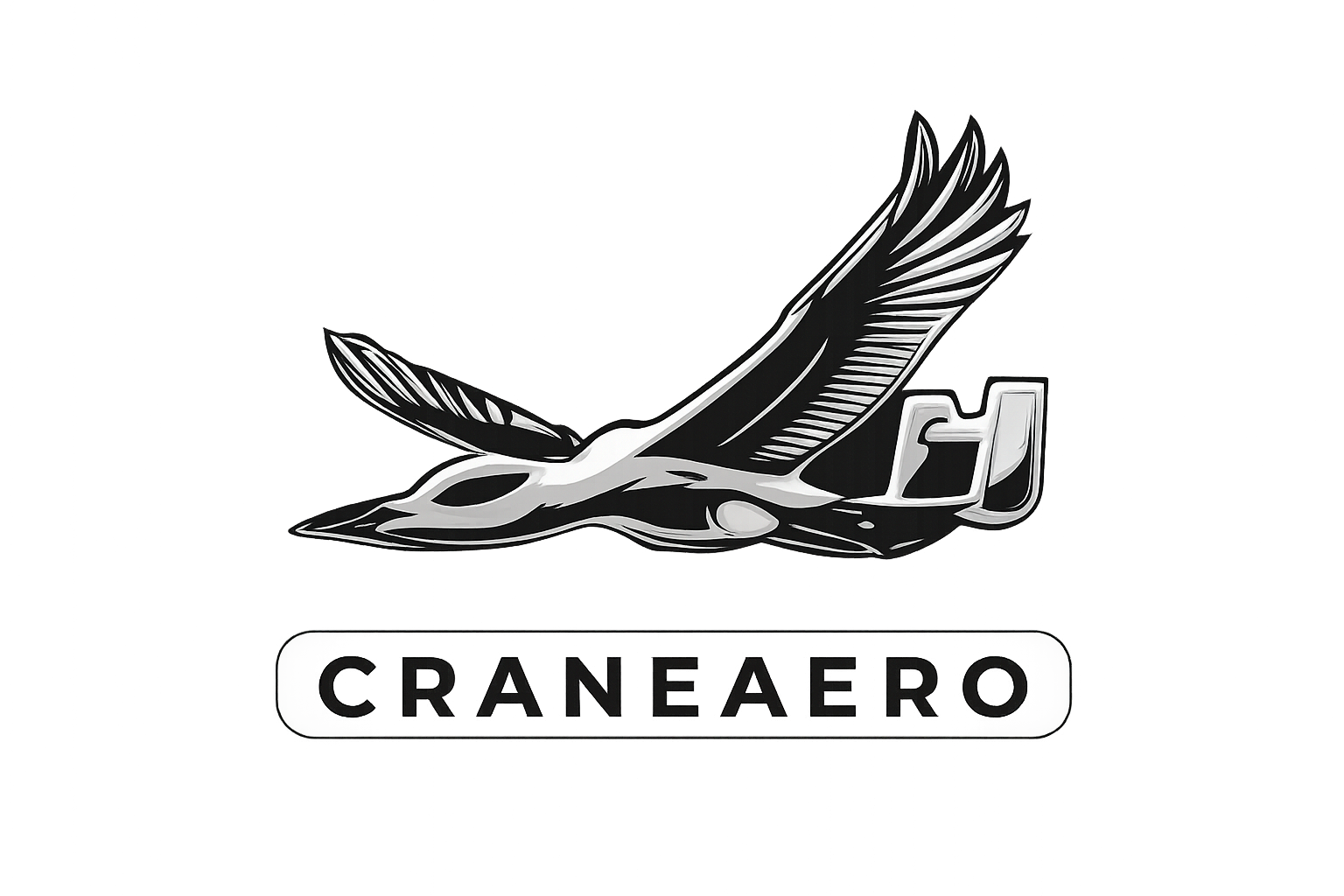 LOGO CRANEAERO